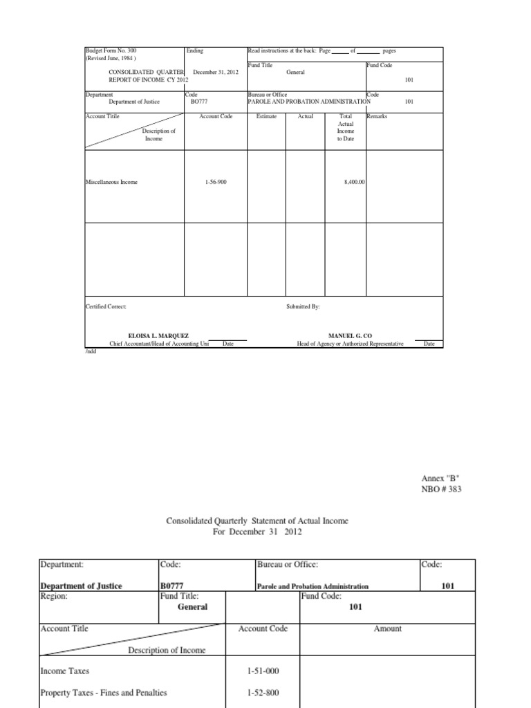 2012 Consolidated Income Report | PDF