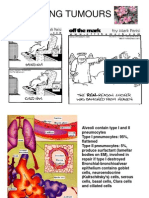 Copy of Lung Tumours - Copy