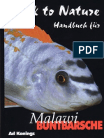 Aquarium Malawi Cichlids