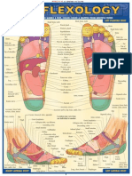 Reflexology Laminated Reference Guide (Quick Study Academic Outline)