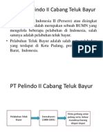 Profil PT Pelindo II Cabang Teluk Bayur