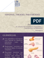 Hipfisistiroidesparatiroides 110309002844 Phpapp01