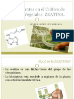 Estimulantes en El Cultivo de Tejidos Vegetales