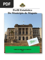Perfil do Município de Maputo, 2010