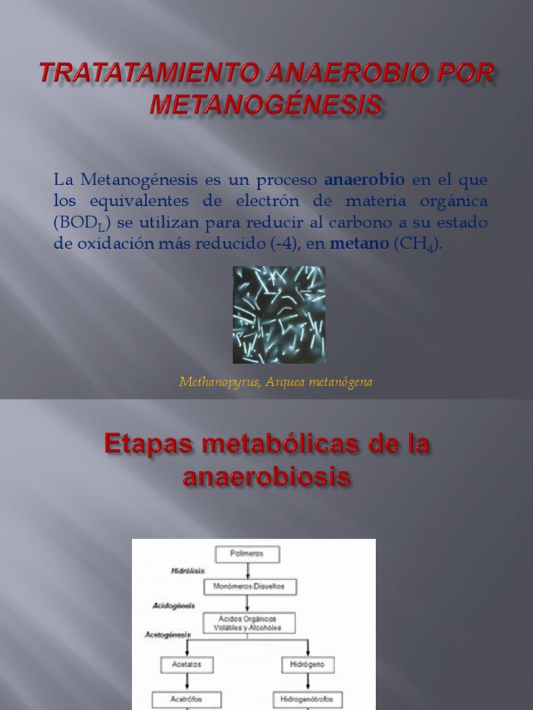 METANOGÉNESIS | PDF | Archaea | Aguas residuales
