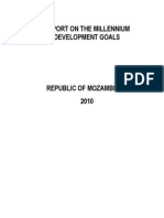 Overview of The Progress of Mozambique Towards The Millennium Development Goals