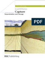 Carbon Capture - Sequestration and Storage 2010 PDF