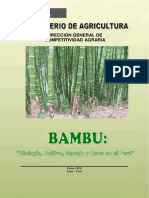 Boletin Tecnico Bambu
