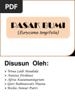 Download PASAK BUMI by Rizka Icha SN190366689 doc pdf
