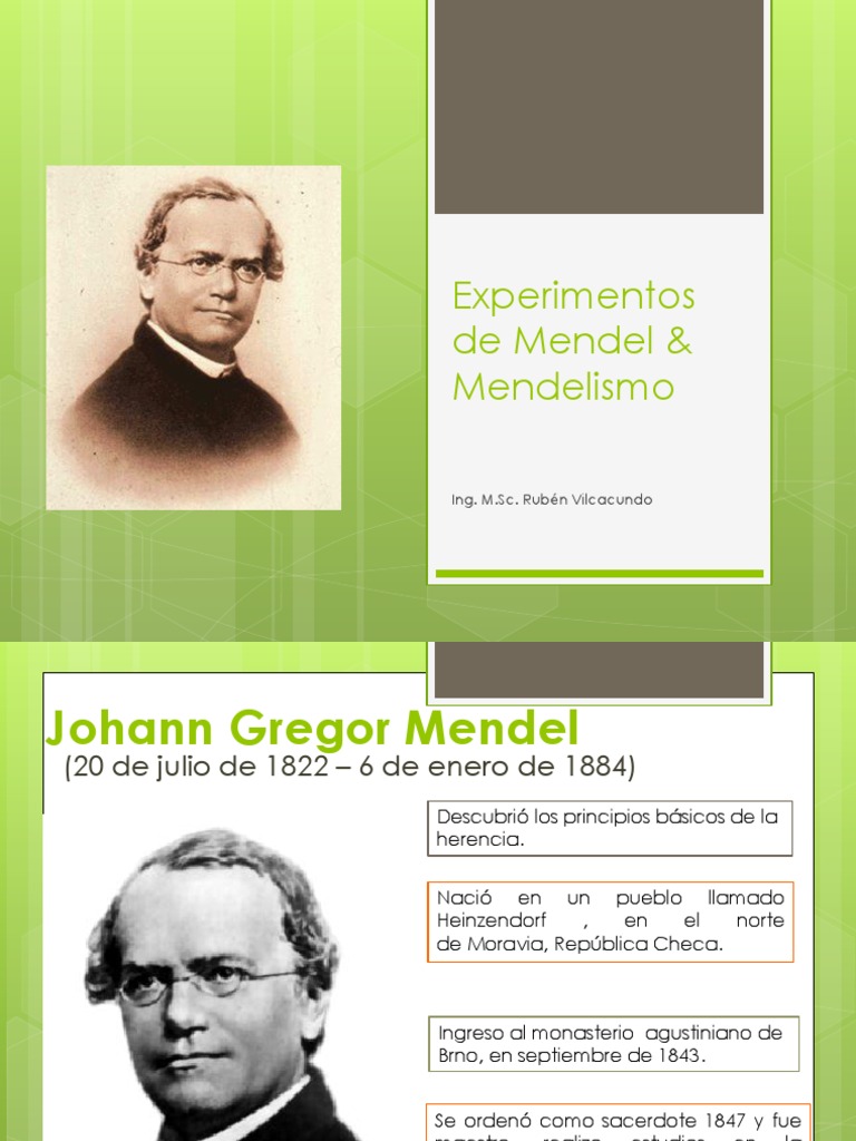 Leyes de Mendel Dominancia (Genética) Genética