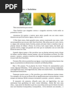 A Lagarta e a Borboleta