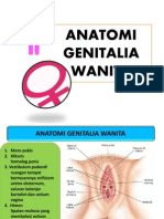 Anatomi Genitalia Wanita