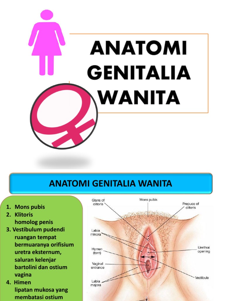 Tranny lanet qizlar porno onlayn tomosha