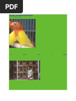 Download 10Aneka manfaat spirulinadocx by putrabengawan SN190419805 doc pdf