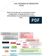 Pruebas de Bienestar Fetal