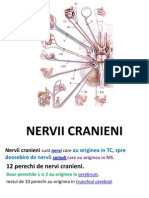 Nervii Cranieni Curs MG II