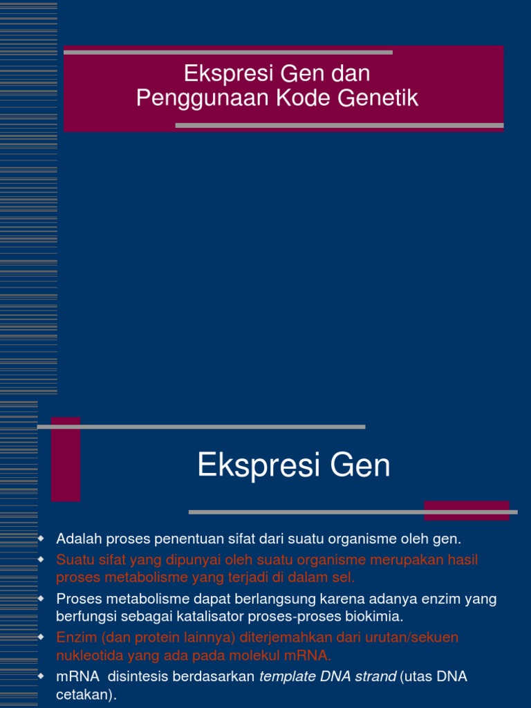 Ekspresi Gen dan Sintesis Protein | PDF | Sains & Matematika