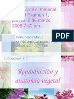 anatomia-vegetal-1204312171485682-5