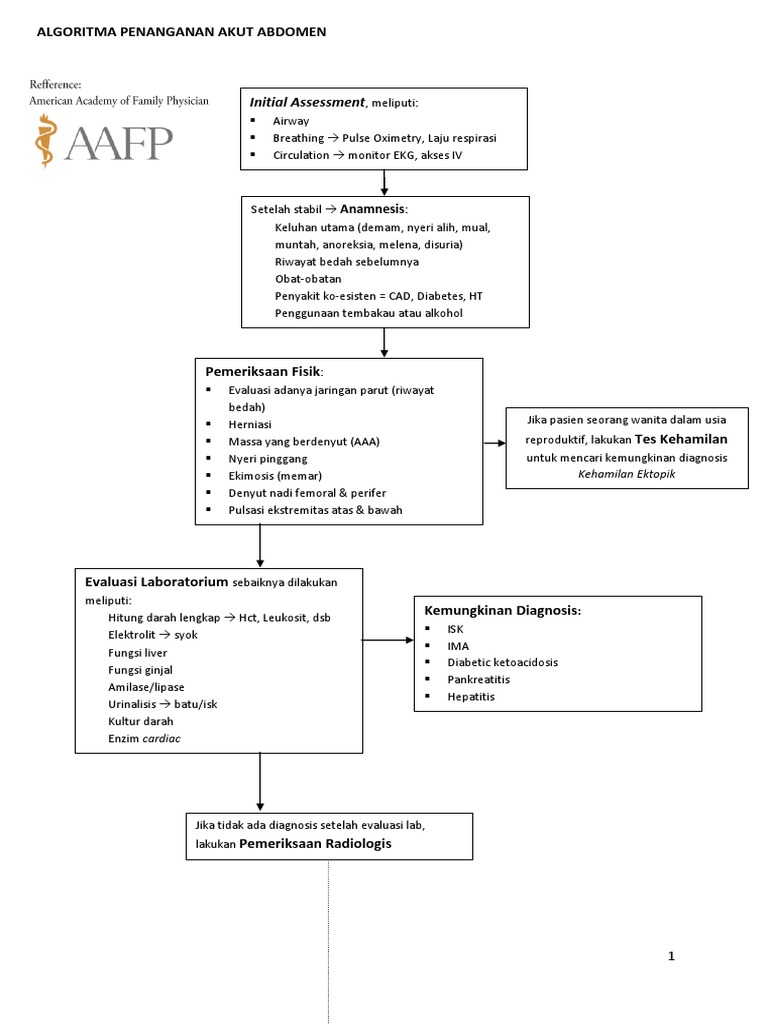 Algoritma Penanganan Akut Abdomen | PDF