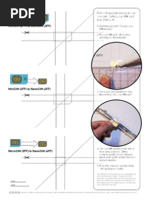 MicroSim to NanoSim.pdf