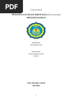 Download Jeruk by Yuliana Purnamasari SN190512186 doc pdf