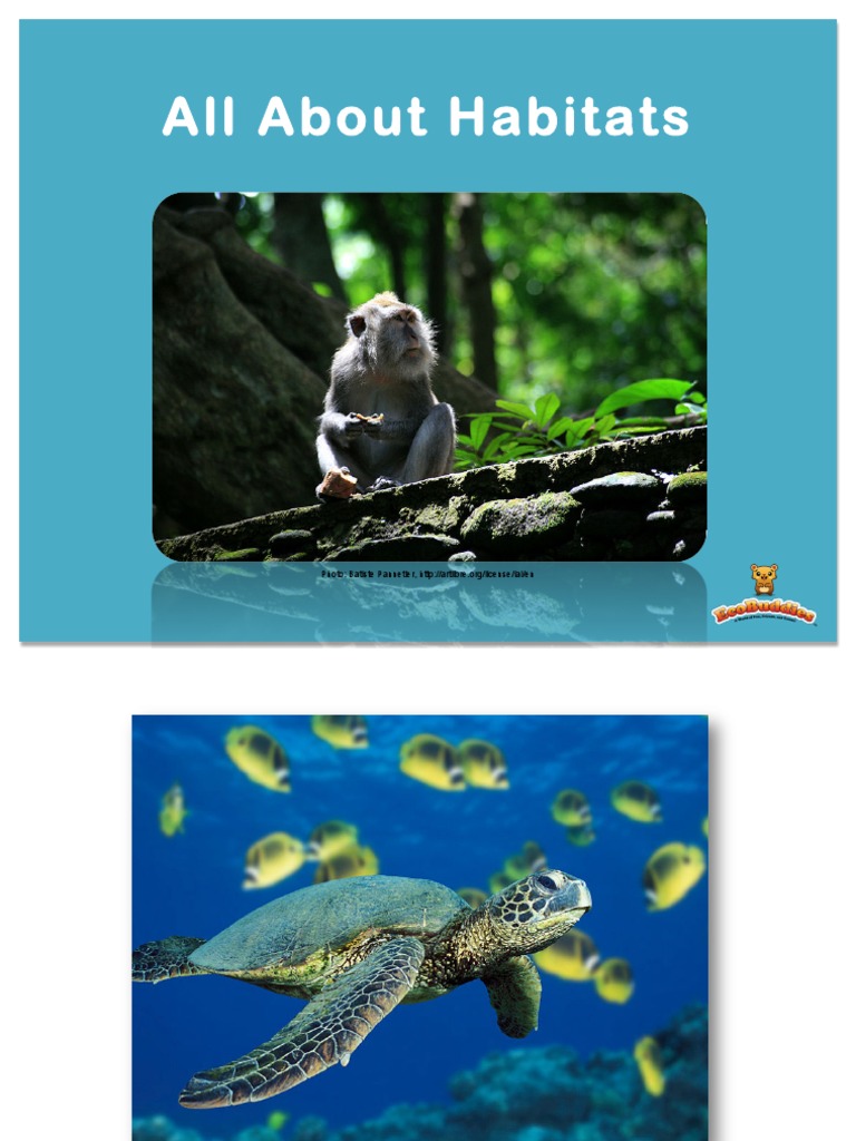 All About Habitats EBook for Kids Habitat Desert