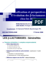 Classification Raisonnée Des Bétalactamases Des Gram Négatifs