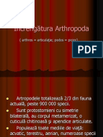 artropoda, arachnide
