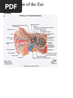 Download ENT by whoosh2008 SN19054671 doc pdf