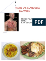 Lesiones Glandulas Salivales Dr Felipe