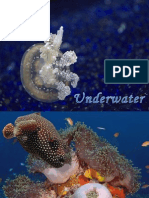 Underwater Pps