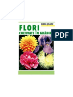 Flori