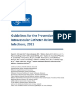Bsi Guidelines 2011