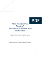 Prevención de Riesgos en La Adolescencia - Informe Final de Luigi Céspedes