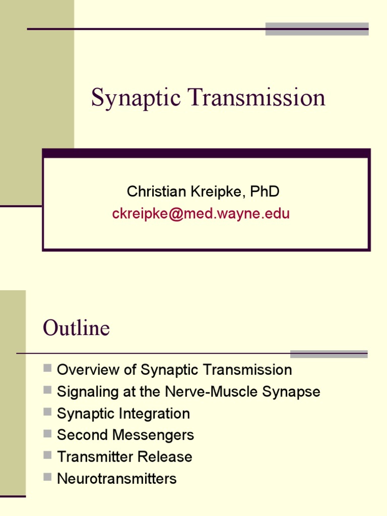 Overview of Synaptic Transmission | PDF