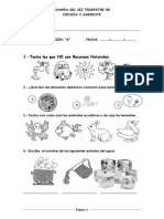 Examen Del III Trimestre de Ciencia y Ambiente