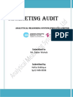 Marketing Audit, Marketing Management