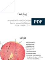 Histologi