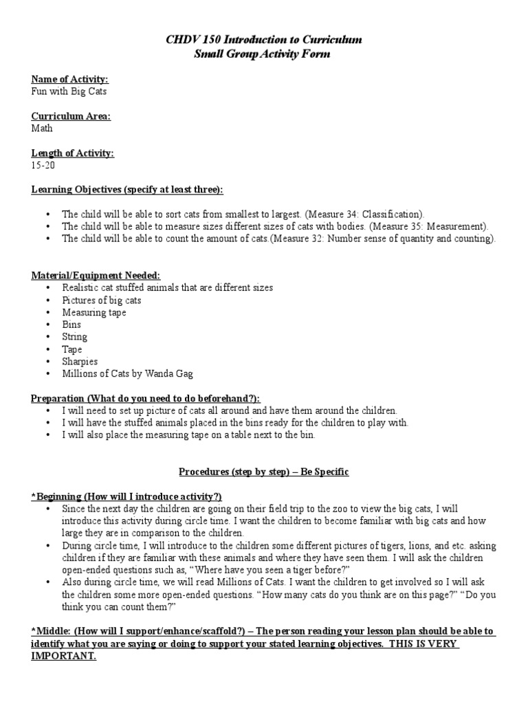 Michelle Iaquinta Math Small Group Activity | PDF | Cognition
