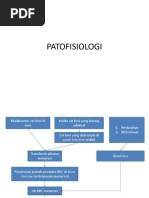 Download Patofisiologi Anemia Defisiensi Besi by thefunnygirl_04_6009 SN190681170 doc pdf