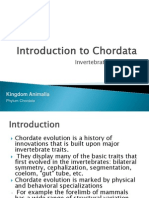 Chordate Evolution from Invertebrates