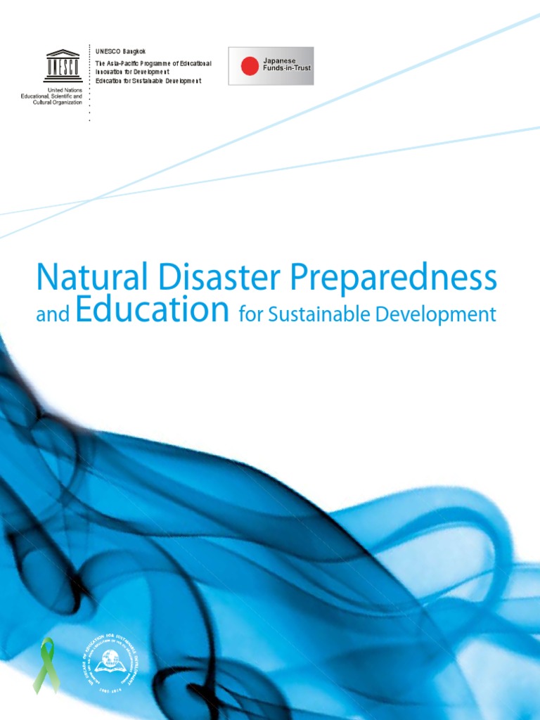 Disaster | PDF
