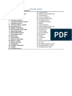 Panoramic Anatomy Key Identification Guide