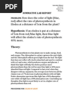 sumative lab report dox