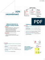 ADN Recombinant