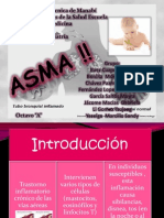 Asma Exposicion