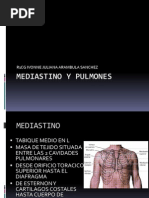 Mediastino y Pulmones