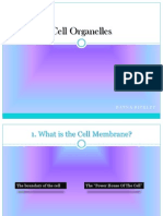 dayna bickley-- bio organelles