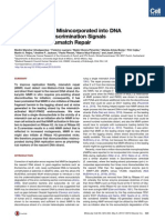 Ribonucleotides - PDF, Artículo en Coautoría, Sobre Cáncer, de Maité Olivera Pimentel