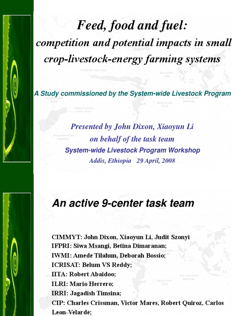 Smallholder Farming: Feed vs. Fuel | PDF | Biofuel | Agriculture